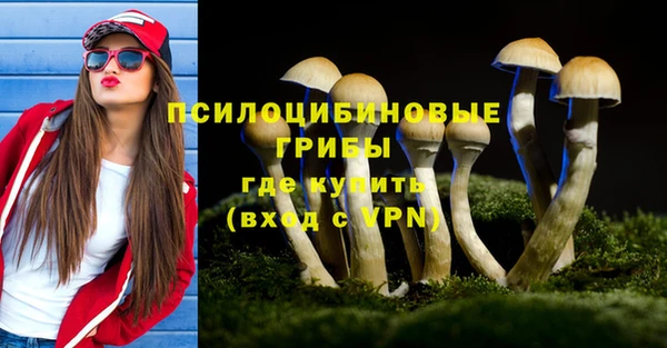 хмурый Балахна
