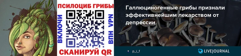 kraken tor  Пущино  Псилоцибиновые грибы ЛСД 